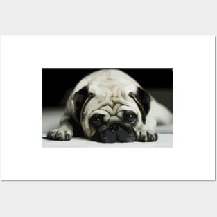 Lazy Pug Digital Painting Posters and Art